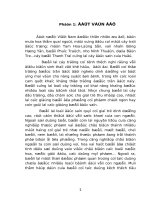 thực trạng và hướng phát triển của cây thanh trà tại xã thuỷ biều - thành phố huế