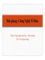 bài giảng công nghệ tế bào chương 3 công nghệ vi sinh vât