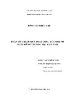PHÂN TÍCH HIỆU QUẢ HOẠT ĐỘNG của một số NGÂN HÀNG THƯƠNG mại VIỆT NAM