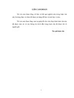 nghiên cứu hệ thống kênh phân phối sản phẩm tags tại chi nhánh hà nội thuộc công ty tnhh tm và dv vic