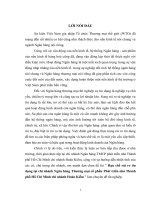 Hạn chế rủi ro tín dụng tại chi nhánh ngân hàng thương mại cổ phần phát triển nhà thành phố hồ chí minh chi nhánh hoàn kiếm