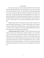 hệ thống chuyển mạch số neax61s