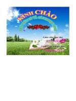 trộn và in văn bản trong microsoft worrd 2010