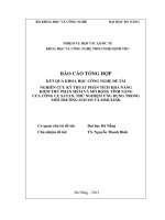 Nghiên cứu  mở rộng tính năng của công cụ satan, thử nghiệm ứng dụng trong môi trường scicos và simulink