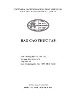 báo cáo thực tập công ty TNHH sơn t c o hà nội
