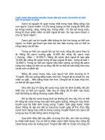 THIẾU CANXI ẢNH HƯỞNG NGHIÊM TRỌNG đến sức KHỎE CON NGƯỜI và HIỂU BIẾT về KHOÁNG tố CANXI