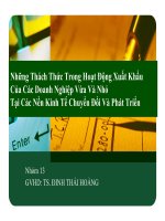 Báo cáo những thách thức trong hoạt động xuất khẩu của các doanh nghiệp vừa và nhỏ tại các nền kinh tế chuyển đổi và phát triển