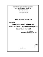 Nghiên cứu thiết kế, chế thử súng, dây nổ và đạn bắn vỉa phục vụ cho khai thác dầu khí