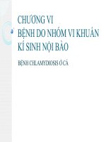 BỆNH DO NHÓM VI KHUẨN KÍ SINH NỘI BÀO