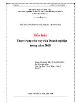 Tiểu luận: Thực trạng cho vay của Doanh nghiệp trong năm 2008