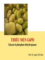 thiếu men g6pd glucose - 6 - phosphate dehydrogenase