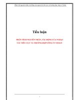 tiểu luận phân tích nguyên nhân, tác động của ngoại tác tiêu cực và trường hợp công ty vedan