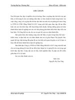 phân tích thực trạng doanh thu tại công ty CPSX & XNK HỒNG MINH B.A.B.Y KHU VỰC HÀ NỘ