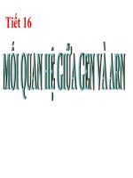 Giáo án bồi dưỡng tham khảo Tiết 17 sinh học 9 Mối quan hệ giữa gen và ARN
