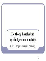 Bài giảng Hệ thống thông tin - Hoạch định nguồn nhân lực doanh nghiệp