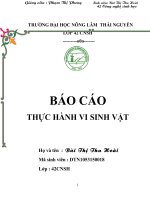 THUC HANH VI SINH