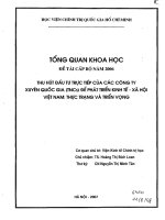 thu hút đầu tư trực tiếp của các công ty xuyên quốc gia (tncs) để phát triển kinh tế-xã hội việt nam. thực trạng và triển vọng