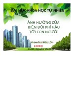 ảnh hưởng của biến đổi khí hậu tới con người - luận văn, đồ án, đề tài tốt nghiệp
