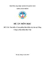 tìm hiểu về sản phẩm bảo hiểm cây lúa tại tổng công ty bảo hiểm bảo việt