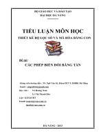 TIỂU LUẬN MÔN HỌC THIẾT KẾ BỘ LỌC SỐ VÀ MÃ HÓA BĂNG CON Đề tài: CÁC PHÉP BIẾN ĐỔI BĂNG TẦN