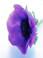 bài 1 menden và di truyền học