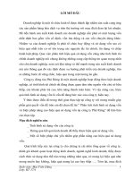 phân tích tình hình sử dụng vốn và biện pháp nâng cao hiệu quả sử dụng vốn tại công ty phà rừng