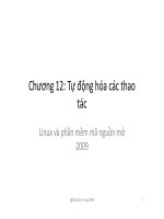 Chương 12: Tự động hóa các thao tác