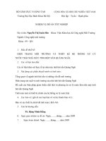 hiện trạng môi trường và thiết kế hệ thống xử lý nước thải nhà máy tinh bột sắn quảng ngãi