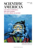 scientific american   -  1995 08  -  a new theory of aids latency