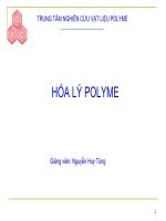 Hóa lý polyme