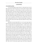 kế toán bán hàng và xác định kết quả bán hàng tại công ty cổ phần dịch vụ đồng xuân hải dương