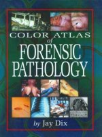 color atlas of forensic pathology  -  j. dix (crc, 2000)
