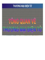 Bài giảng Thương mại điện tử - Chương 1: Tổng quan về thương mại điện tử