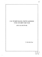 thành lập bản đồ địa chất biển đông và các vùng kế cận tỷ lệ 1-1.000.000 - các tổ hợp magma trước kainozoi vùng ven biển việt nam