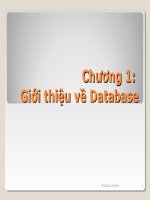 Chương 1 Giới thiệu về Database
