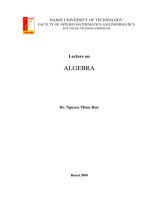lecture on algebra