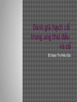 đánh giá hạch cổ trong ung thư đầu và cổ