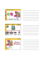 Quản trị học nguyễn đình chính, hutech, 2010