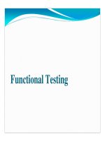 Software Testing Functional Testing