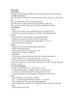 Sâu bệnh hại dâu