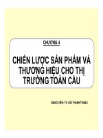 bài giảng marketing toàn cầu - chương 4 ts bùi thanh tráng