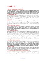 101 bi quyet bao quan trai cay