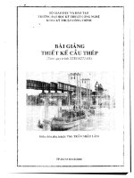 Thiết kế cầu thép bài giảng trần nhật lâm, hutech 2006