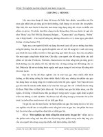 Luận văn công nghệ sinh học Thử nghiệm tạo thức uống lên men lactic từ gạo lức