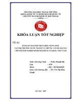 Đăng ký bảo hộ nhãn hiệu hàng hóa tại thị trường nước ngoài và những vấn đề đặt ra cho doanh nghiệp kinh doanh xuất khẩu việt nam