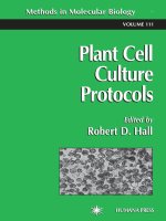 Plant cell culture