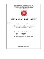 Tình hình biến động giá xăng dầu trên thị trường việt nam trong quá thời gian qua   nguyên nhân và giải pháp