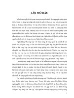 biện pháp nâng cao hiệu quả huy động vốn tại chi nhánh ngân hàng cổ phần thương mại tiên phong