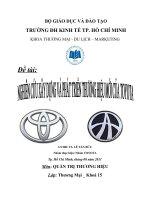 NGHIÊN CỨU XÂY DỰNG VÀ PHÁT TRIỂN THƯƠNG HIỆU MỚI CỦA TOYOTA