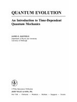 Bayfield JE quantum evolution introduction to time dependent quantum mechanics